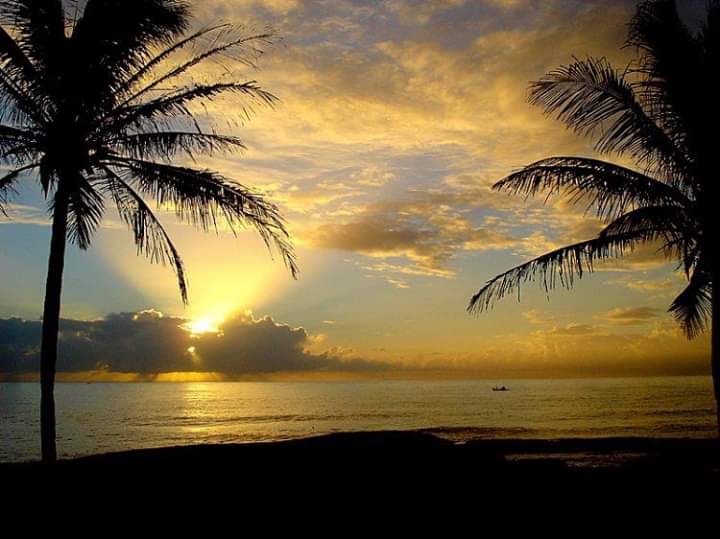 WhatsApp Image 2020-06-15 at 01.38.11 (1)