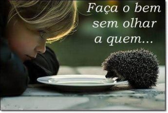 Felicidade