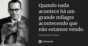 guimaraes_rosa