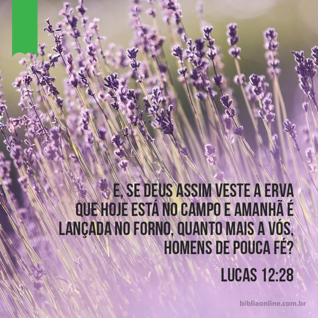 WhatsApp Image 2020-07-13 at 01.26.21